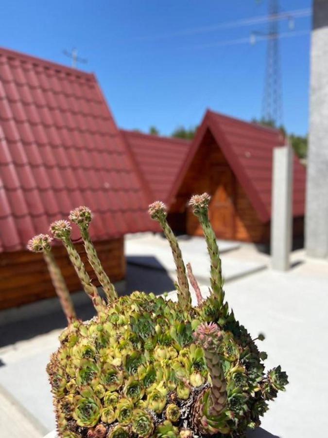 Willa Bungalows Kisin Trebinje Zewnętrze zdjęcie